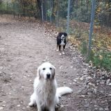 Aila und Nico